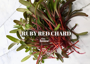 Chard Microgreens (Ruby Red)
