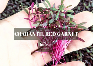 Amaranth, Red Garnet