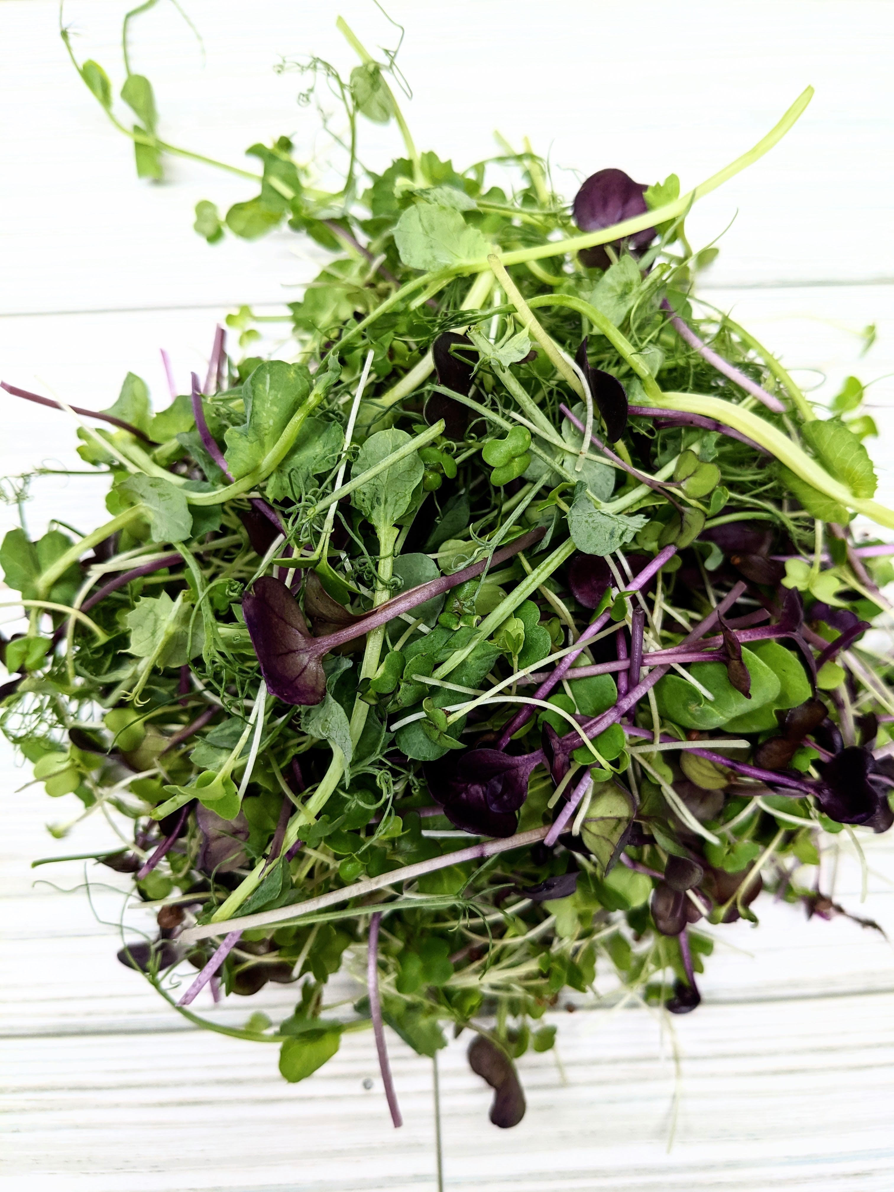 Micro Topper Burger Micro Topper – Tiny House Farms Microgreens